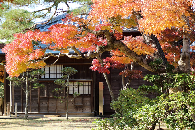 旧堀田邸（さくら庭園）