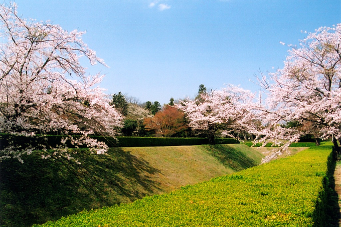 佐倉城址公園